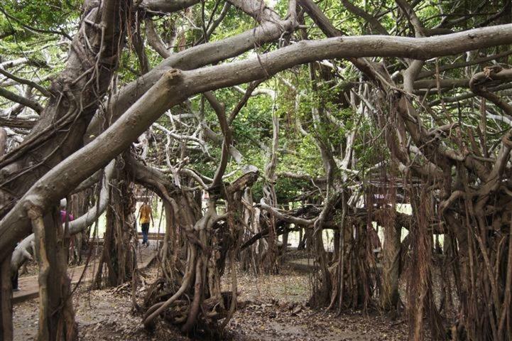 Апарт отель Baan Lita Phimai Экстерьер фото